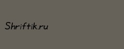 LabNotes Bold 